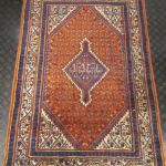 719 8765 ORIENTAL RUG